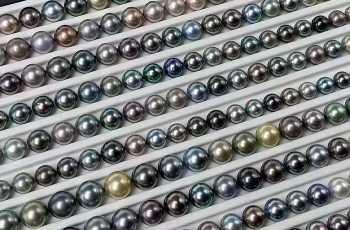 【科普】 珍珠常见品种大盘点--海水养殖珍珠篇